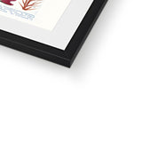 Vintage Botanical Seaweed Print Framed & Mounted Print