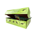 educational set of dinosaur toys