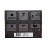 educational set of toy insects, bugs and minibeasts
