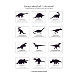 Dinosaur Fact Sheet