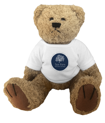 Teddy bear soft toy for cuddles for hospitals, nurseries, charities and hospitality