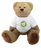Teddy bear soft toy for cuddles for charities and hospitals