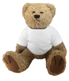Teddy bear soft toy personalised with your business logo